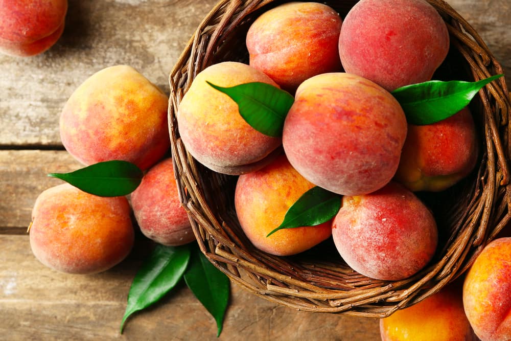 persikoiden edut