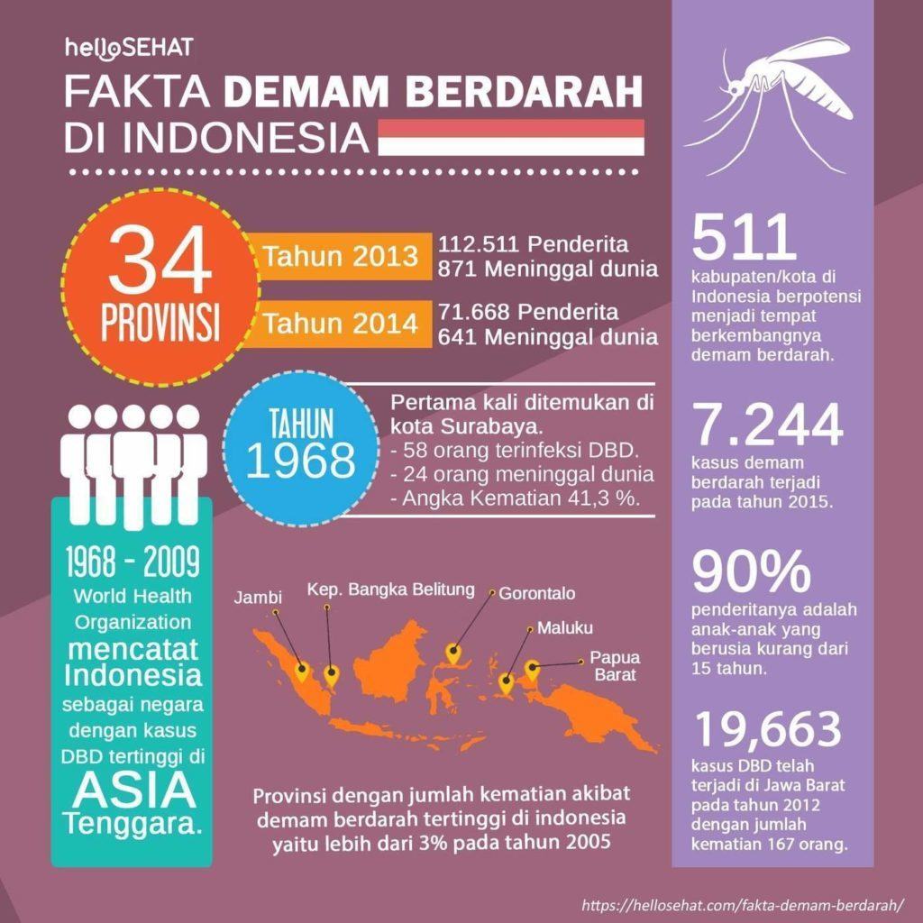 dengue-kuume hellosehat Indonesiassa