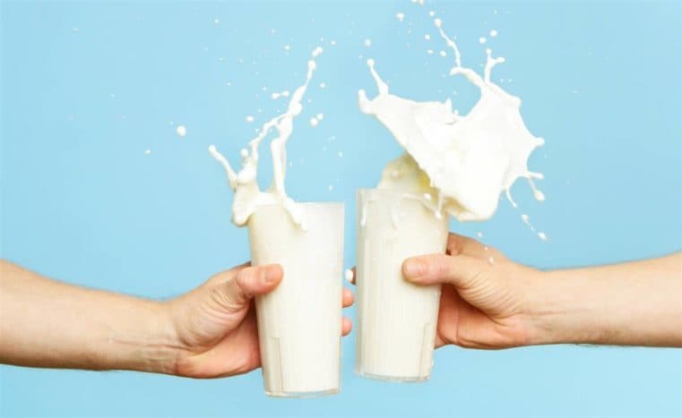 maitoa painonnousuun